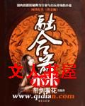 未来融合器封面