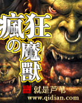 疯狂的魔兽封面