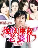我的仙女老婆们封面
