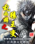 乱西游之猿王变封面