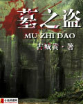 墓之盗封面
