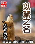 以鼠之名封面