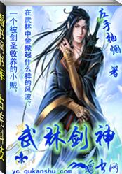 武林剑神封面