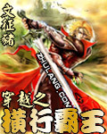 穿越之横行霸王封面