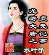 龙游大唐之贞元记事封面