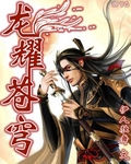 龙耀苍穹封面