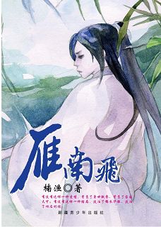 雁南飞封面