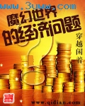魔幻世界的经济问题封面