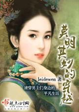 莫明其妙的穿越封面