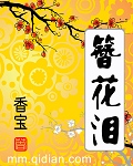 簪花泪封面