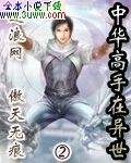 中华高手在异世封面