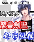 魔兽剑圣都市纵横封面