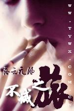 不灭之旅(正式版)封面