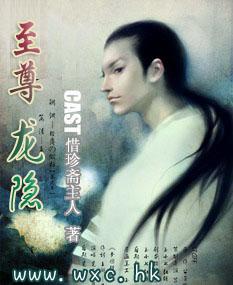 至尊龙隐封面