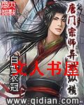 唐门宗师异世纵横封面