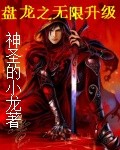 盘龙之无限升级封面