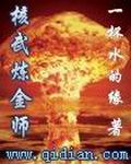 核武炼金师封面