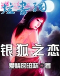 银狐之恋封面