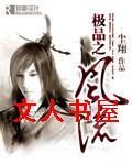 极品之风流封面