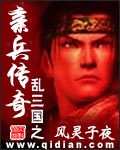 乱三国之亲兵传奇封面