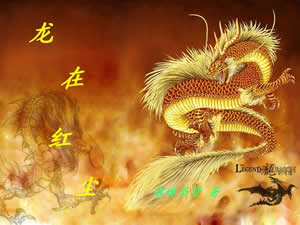 龙在红尘封面