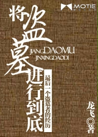 将盗墓进行到底封面