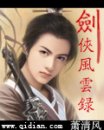 剑侠风云录封面