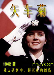 矢车菊 征文封面