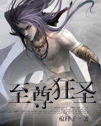 至尊狂圣封面
