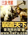 霸道天下封面