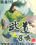 武道之召唤封面