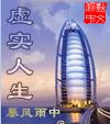 虚实人生封面