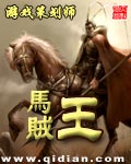 马贼王封面
