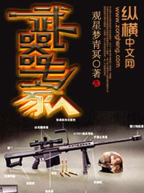武器专家封面