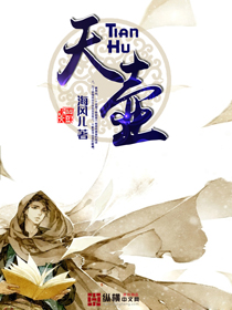 天壶封面