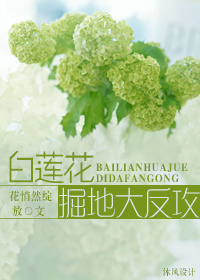 白莲花掘地大反攻封面