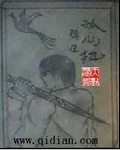 孤心执封面