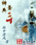 神兵圣手封面