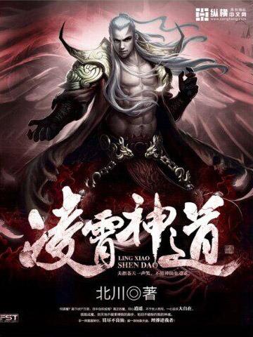 凌霄神道封面