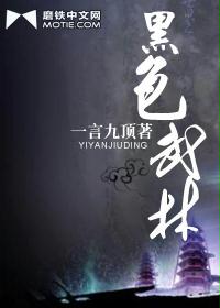 黑色武林封面