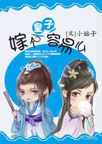 嫁个皇子容易么封面
