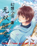 无双醒觉封面