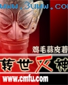 转世灭神封面