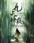 九天神凰封面