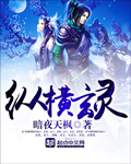 纵横玄灵封面