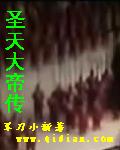 圣天大帝传封面