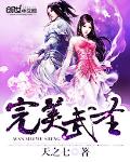 完美武圣封面