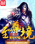至尊境封面