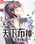 天下布种封面