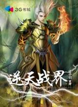 逆天战界封面